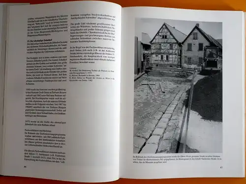 Rhein Main Landkreis Groß Gerau Trebur Geschichte Chronik Buch 1998