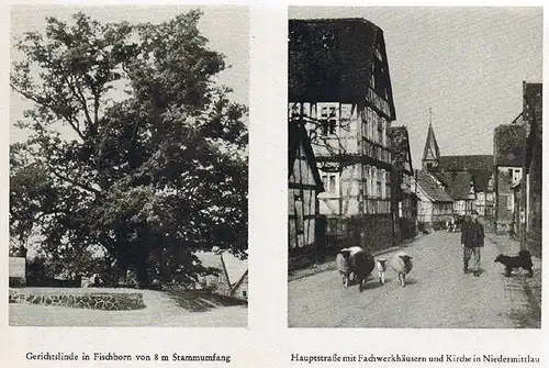 Hessen Main Kinzig Stadt Landkreis Gelnhausen Chronik Geschichte Heimatbuch 1954