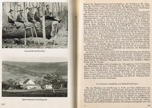 Hessen Main Kinzig Stadt Landkreis Gelnhausen Chronik Geschichte Heimatbuch 1954