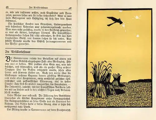 Weltkrieg Militär Kriegserlebnisse aus Frankreich Bilder Fritz Lang Buch 1916