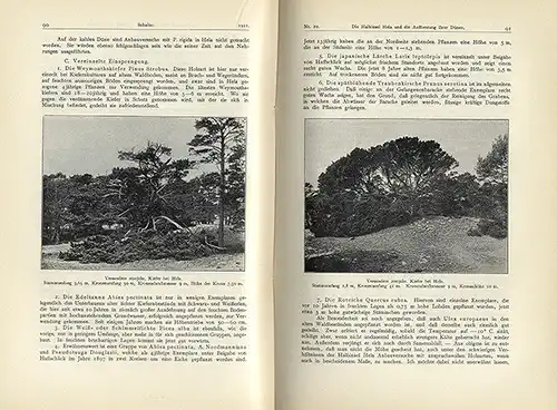 Botanik Bäume Dendrologie Deutsche Gesellschaft für Baumkunde Jahrbuch 1911