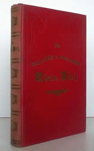 Rhein Pfalz Weinstraße Historische Topografie Stahlstiche Neustadt 1855