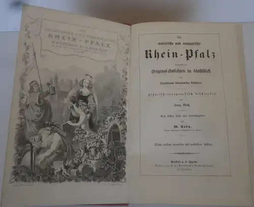 Rhein Pfalz Weinstraße Historische Topografie Stahlstiche Neustadt 1855