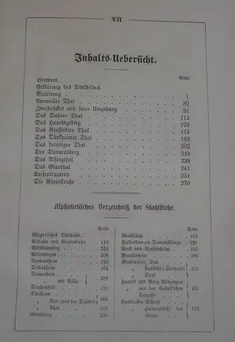 Rhein Pfalz Weinstraße Historische Topografie Stahlstiche Neustadt 1855