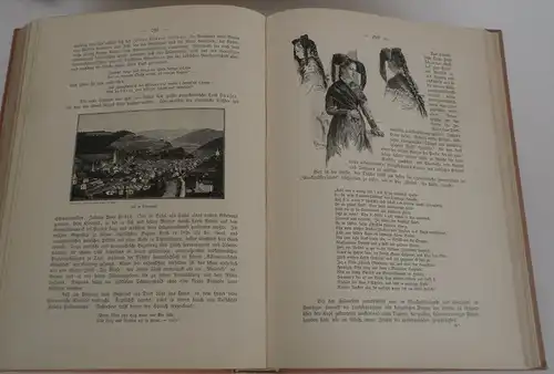 Schwarzwald Karlsruhe Offenburg Forbach Wildbad Feldberg Prachtausgabe 1901