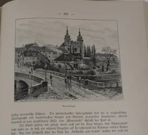 Schwarzwald Karlsruhe Offenburg Forbach Wildbad Feldberg Prachtausgabe 1901