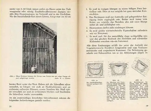 Deutschland Biologie Ornithologie Vögel Vogelschutz Taschenbuch 1957