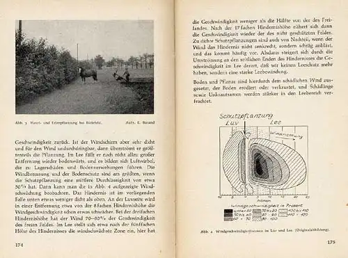 Deutschland Biologie Ornithologie Vögel Vogelschutz Taschenbuch 1957