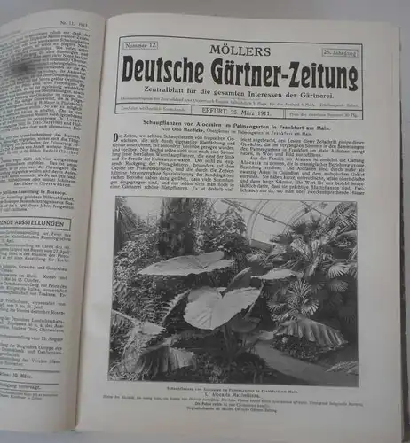 Thüringen Erfurt Obst Blumen Gartenbau Möllers Deutsche Garten Zeitung 1911