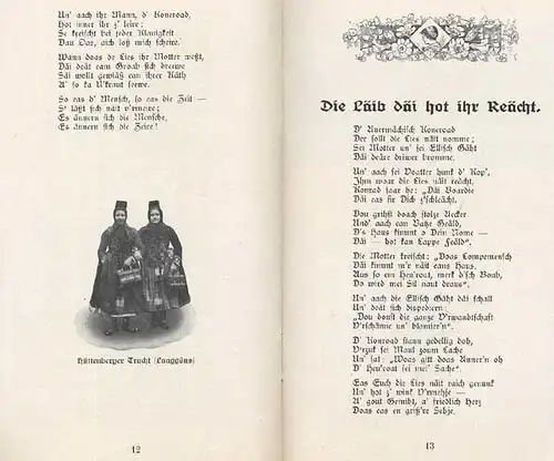 Hessen Alsfeld Schotten Wetterau Verse Geschichten in Mundart Georg Heß 1924