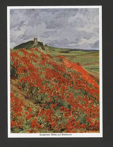 Kunst Landschaft Malerei Eifel Mosel Bilder Fritz von Wille Buch 1935