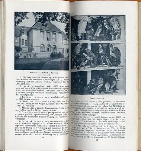 Bayern Franken Coburg Stadt Veste Bäder Geschichte Führer Stadtplan 1928