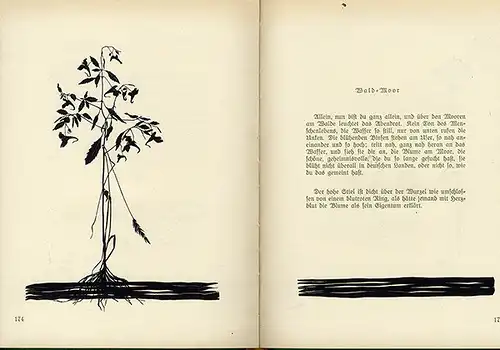 Kunst Handwerk Scherenschnitt Pflanzen Blüten Leben Johanna Beckmann Buch 1931