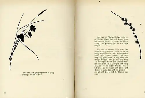 Kunst Handwerk Scherenschnitt Pflanzen Blüten Leben Johanna Beckmann Buch 1931