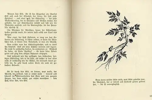 Kunst Handwerk Scherenschnitt Pflanzen Blüten Leben Johanna Beckmann Buch 1931