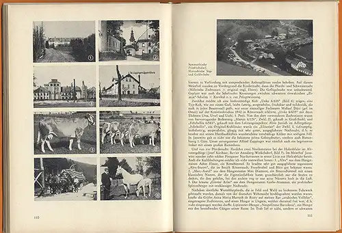 Böhmen Sudeten Römerstadt Friedland Mohrau Bergstadt Keppel Heimatbuch 1964