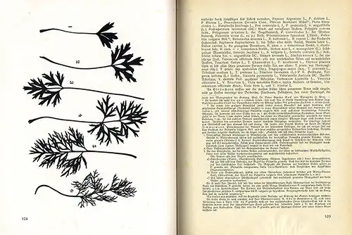 Baden Main Wertheim Familien Geschichte Genealogie Heimat Jahrbuch 1925