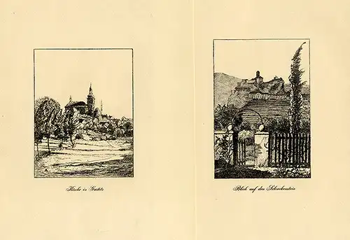 Böhmen Sudeten Elbe Aussig Gartitz Kunst Grafik Mappe Federzeichnung Arnold 1924