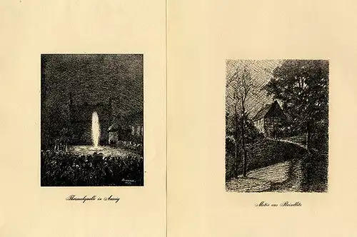 Böhmen Sudeten Elbe Aussig Gartitz Kunst Grafik Mappe Federzeichnung Arnold 1924