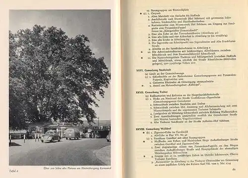 Hessen Rhein Main Kreis Groß Gerau Nauheim Rüsselsheim Geschichte Chronik 1957