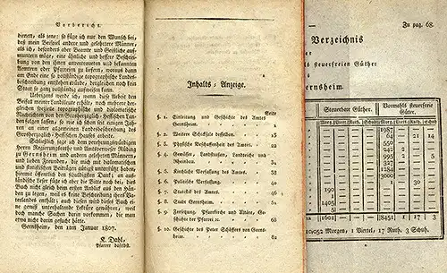 Großherzogtum Hessen Stadt und Amt Gernsheim Geschichte Statistik Buch 1806