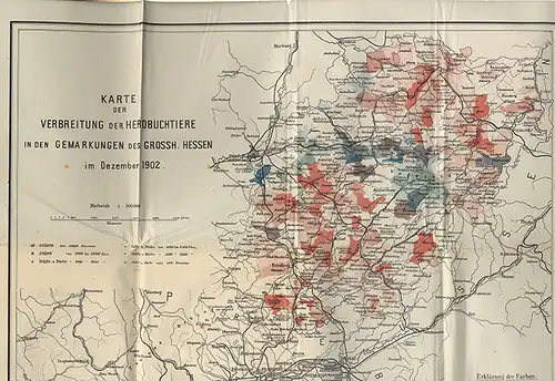 Landwirtschaft Großherzogtum Hessen Herdbuch für Simmenthaler Vieh 1903