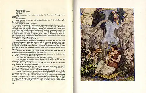 Asien Russland Kalmückische Märchen illustriert von Amadeus Dier Buch 1921