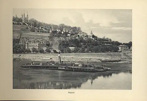 Bayern Franken Würzburg 12 Stadtansichten altes Foto Bilder Album 1907