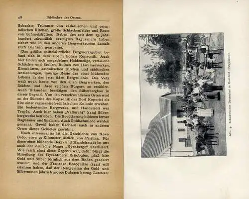 Deutsche in Russland Polen Siebenbürgen Ungarn Serbien Buch 1916