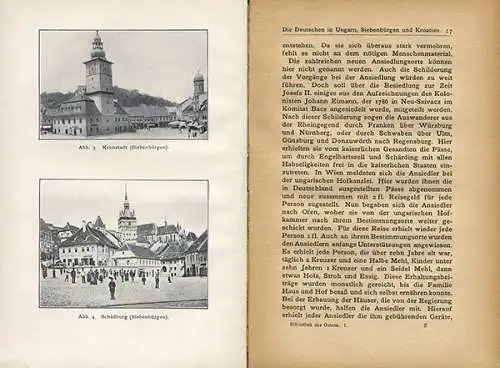 Deutsche in Russland Polen Siebenbürgen Ungarn Serbien Buch 1916