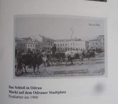 Böhmen Sudeten Geschichte Vertreibung Odrau Fulnek Bautsch 3 Bücher 1999