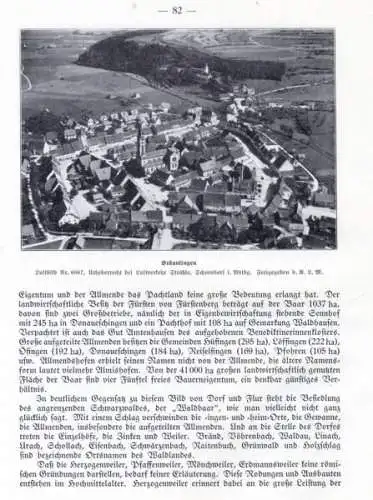 Baden Donaueschingen Villingen Hüfingen Fastnacht Baar Heimatbuch 1938