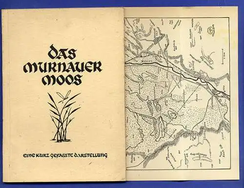 Bayern Alpen Murnau Feuchtgebiet Murnauer Moos Natur Geologie Botanik Buch 1941