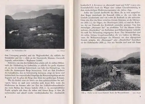 Bayern Alpen Murnau Feuchtgebiet Murnauer Moos Natur Geologie Botanik Buch 1941