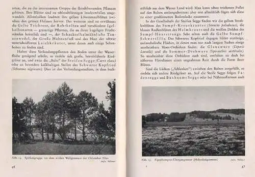 Bayern Alpen Murnau Feuchtgebiet Murnauer Moos Natur Geologie Botanik Buch 1941