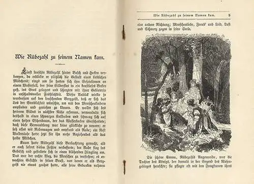 Böhmen Sudeten Märchen und Legenden Rübezahl illustriert Woldemar Friedrich 1907