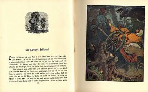 Kinderbuch Wode Brausebart Alte Sagen Mythen Kunst Grafik Ernst Liebermann 1910