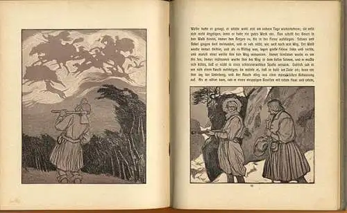 Kinderbuch Wode Brausebart Alte Sagen Mythen Kunst Grafik Ernst Liebermann 1910