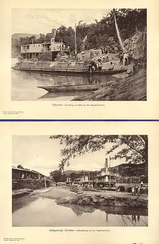 Kolumbien Kaffee Plantage Ernte Transport 15 Original Ansichten Foto Mappe 1910