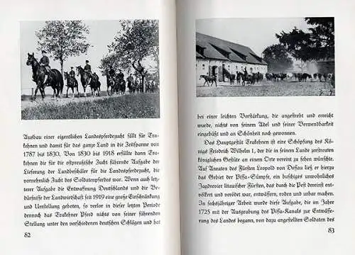 Ostpreußen Geschichte Pferde Zucht Gestüt Trakehnen Foto Bildband 1935