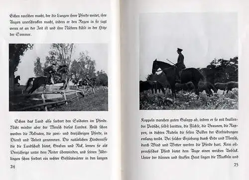 Ostpreußen Geschichte Pferde Zucht Gestüt Trakehnen Foto Bildband 1935