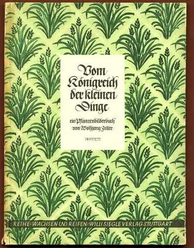 Natur und Pflanzen im Jahreslauf Kunst Grafik Kinder Bilderbuch 1944