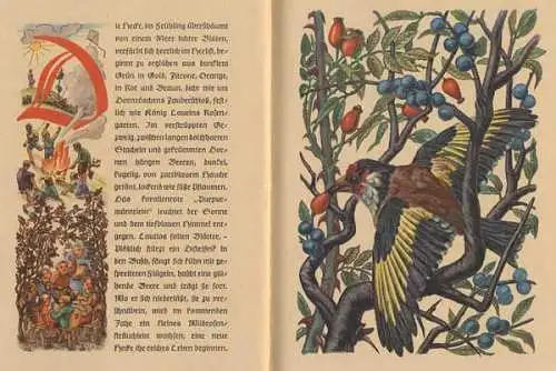 Natur und Pflanzen im Jahreslauf Kunst Grafik Kinder Bilderbuch 1944