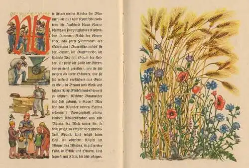 Natur und Pflanzen im Jahreslauf Kunst Grafik Kinder Bilderbuch 1944