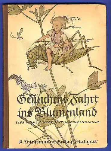 Altes Kinderbuch Gesinchens Fahrt Blumen Elfen Bilder Ilse Wenz Vietor 1942