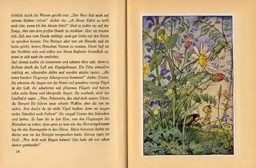 Altes Kinderbuch Gesinchens Fahrt Blumen Elfen Bilder Ilse Wenz Vietor 1942