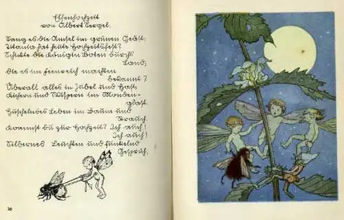 Altes Kinderbuch Fingerhütchen Zerge Elfen illustriert von Ilse Wenz Vietor 1935