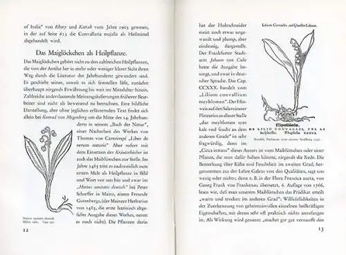 Pharmazie Botanik Gift Heilpfanze Maiglöcken Therapie Geschichte Buch 1937