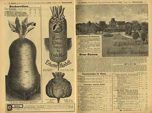 Thüringen Erfurt Garten Blumen Gemüse Samen Handlung Schmidt Katalog 1900