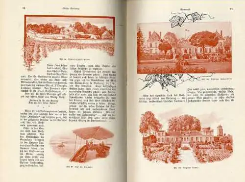 Wein Anbau Ernte Reben Geschichte Kunst Kultur Jugendstil Buch von 1901